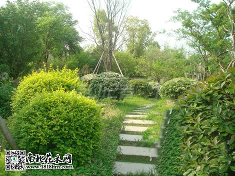 房市低迷促使开发商注重小区绿化建设2
