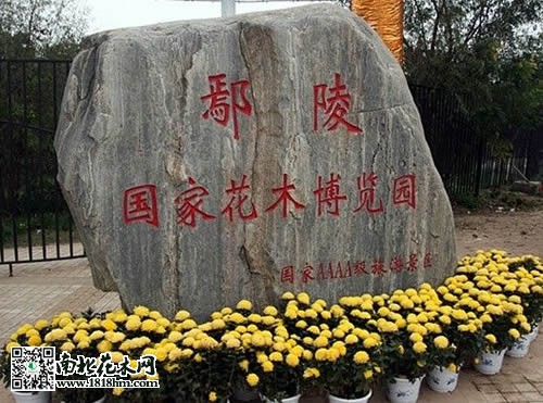 鄢陵国家花木博览园