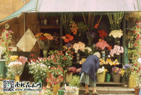 QQ图片20150428091709