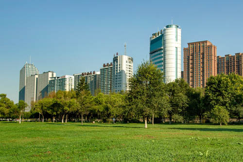 城市绿化植物