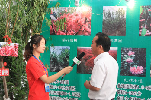 南北花木网采访