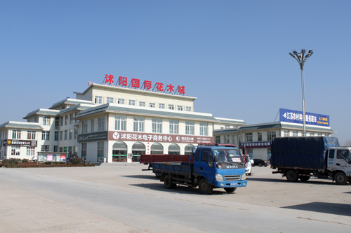 沭阳国际花木城