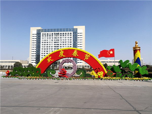 沭阳县县政府绿雕