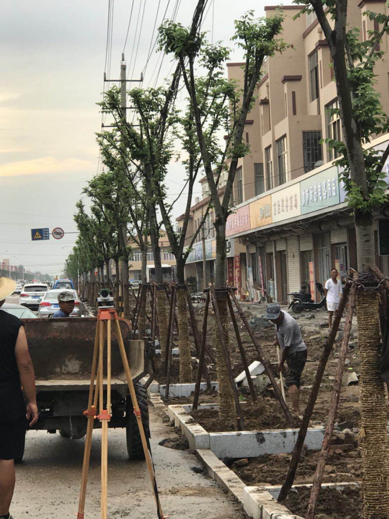 微信图片_20180813090020