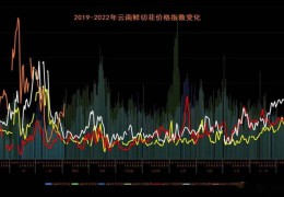 后疫情下巨变的花卉行情 | 2022全国花卉产销形式分析会