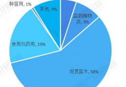 2022年中国盆栽植物行业发展现状及市场规模分析