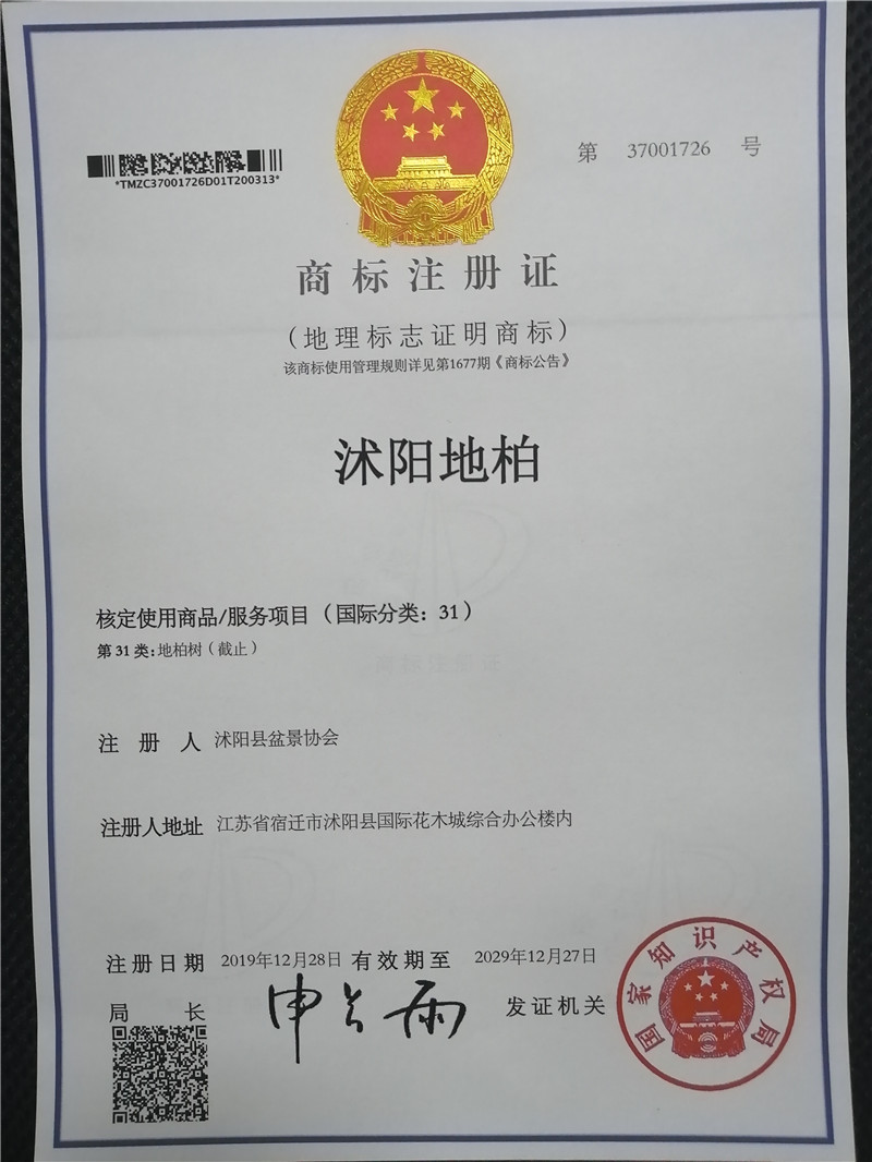 沭阳地柏——国家地理标志商标