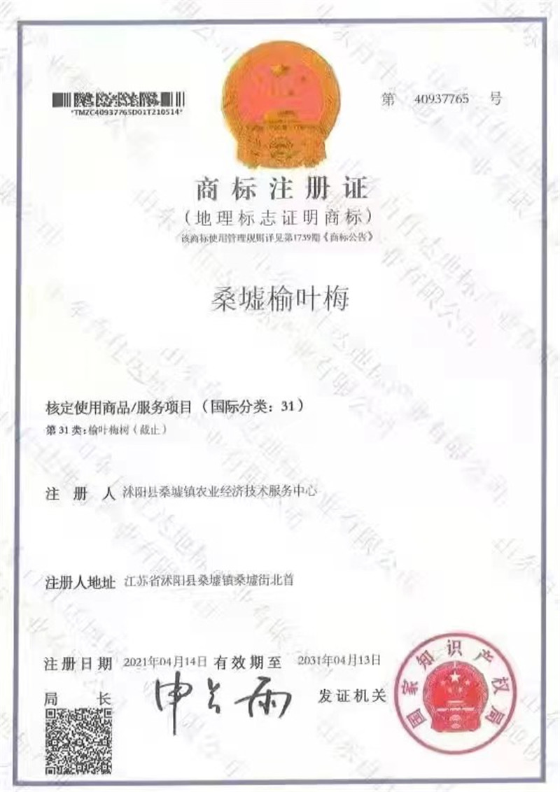 桑墟榆叶梅——国家地理标志商标
