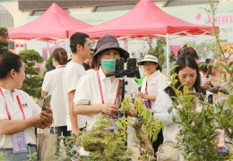 【图集】第十届沭阳花木节主播掠影