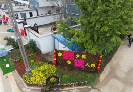 【消费日报网】沭阳颜集镇：美丽庭院“方寸地” 开出乡村“致富花”