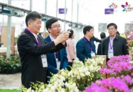 首届上海年宵花市高峰论坛在沪举行