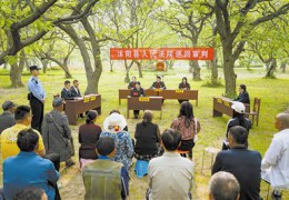 人民法院报：江苏沭阳法庭搬进古栗林