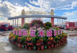 2024沭阳国际花木城盆景资材展销会成功举办！